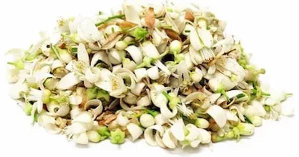 تصویر 1 از خرید و قیمت گل بهار نارنج خشک شده  + فروش عمده